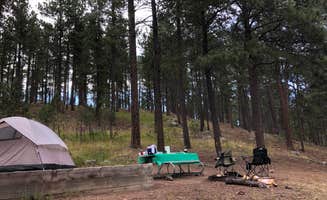 Lauren L.'s photo at Center Lake Campground — Custer State Park in South Dakota