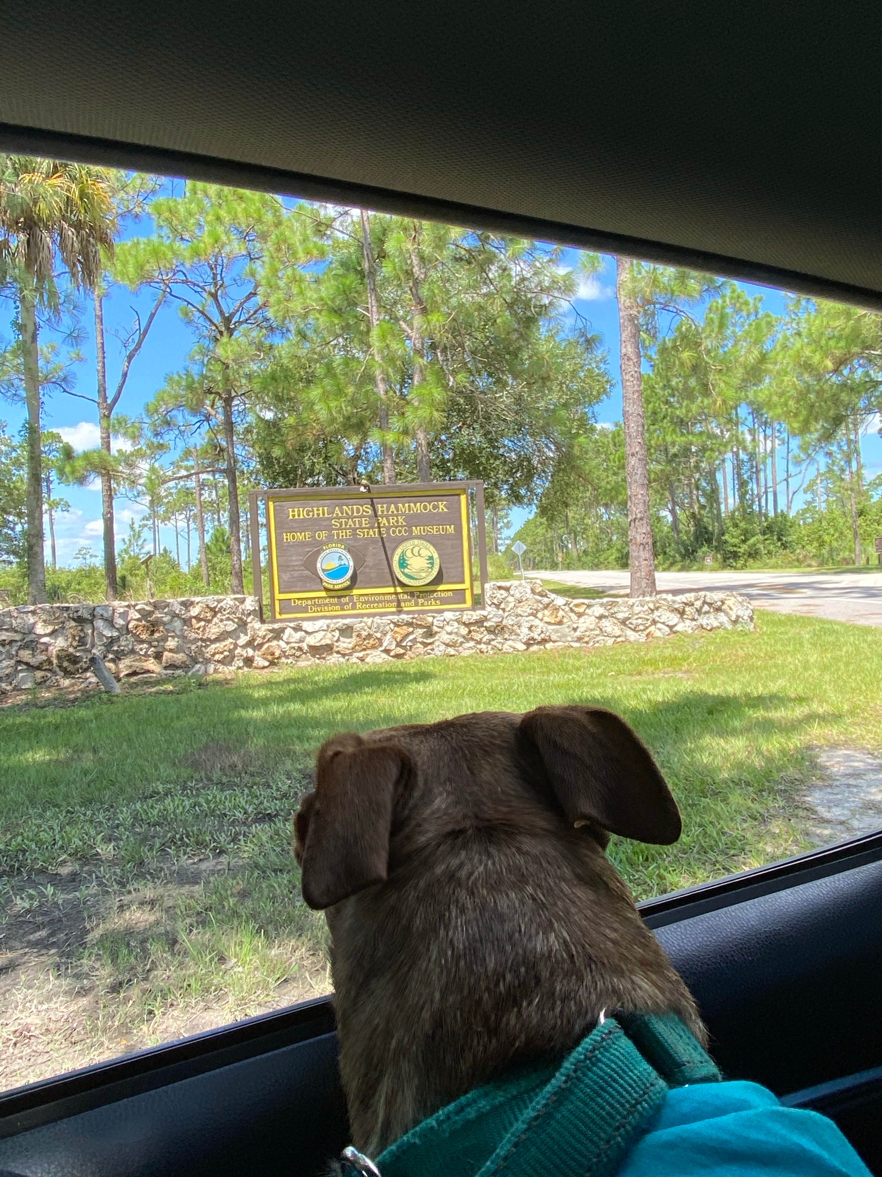 Erika P.'s photo of camping with pets at Highlands Hammock State Park Campground near Lake Wales, FL