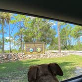 Review photo of Highlands Hammock State Park by Erika P., August 12, 2020