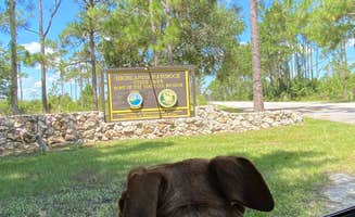 Erika P.'s photo of camping with pets at Highlands Hammock State Park Campground near Sebring, FL