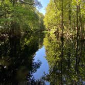 Review photo of Highlands Hammock State Park by Erika P., August 12, 2020