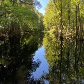 Review photo of Highlands Hammock State Park Campground by Erika P., August 12, 2020