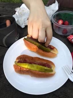 Rosa G.'s photo of camping with pets at Rock Cut State Park - Staghorn Campground near Fontana-on-Geneva Lake, WI