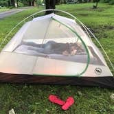 Review photo of Rock Cut State Park - Staghorn Campground by Rosa G., August 12, 2020