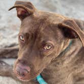 Review photo of North Beach Camp Resort by Erika P., August 12, 2020