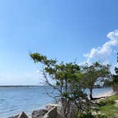 Review photo of North Beach Camp Resort by Erika P., August 12, 2020