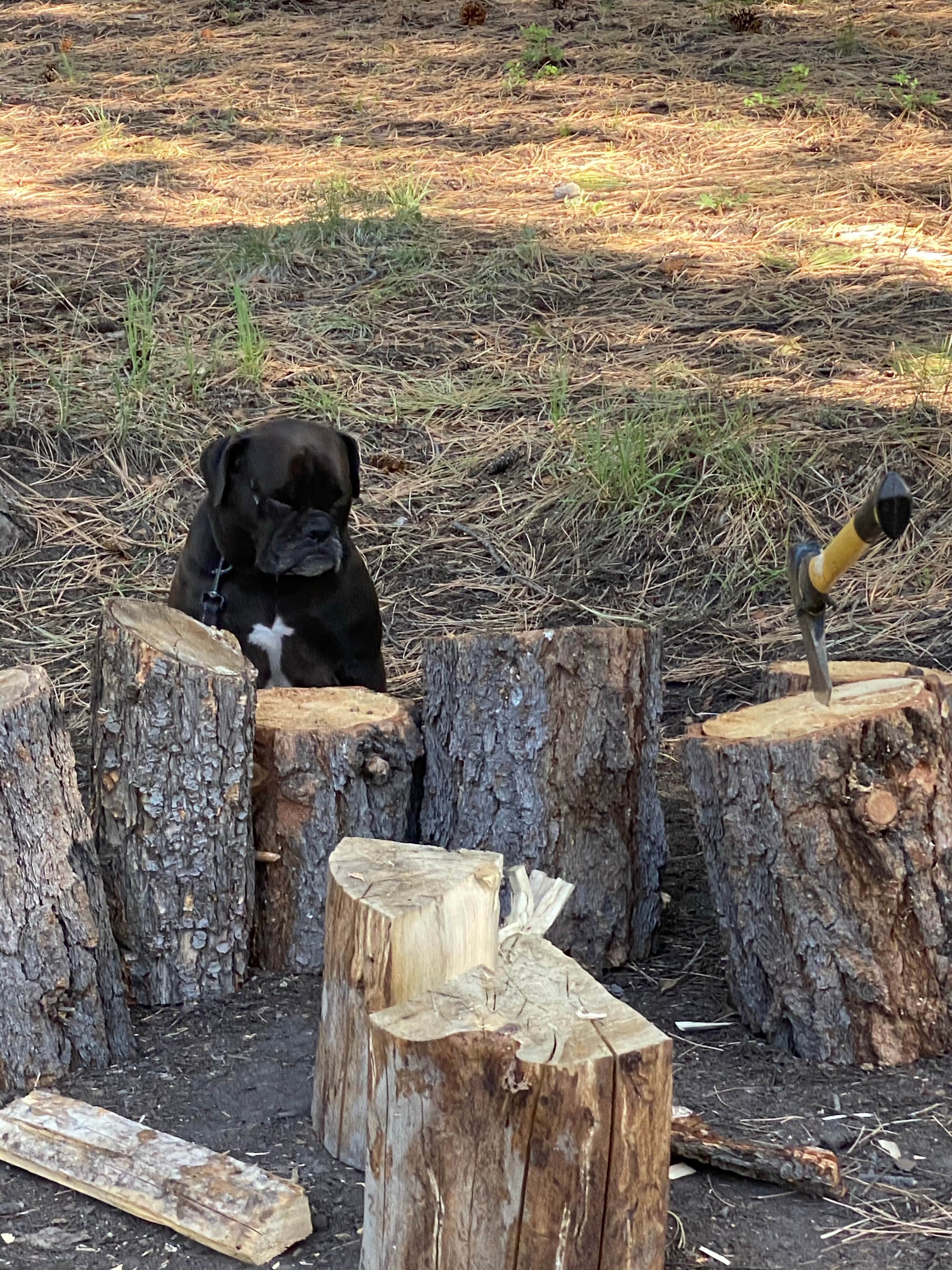 Camper-submitted photo at KOA Campground Panguitch near Dixie National Forest