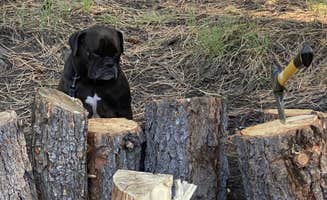 Danny P.'s photo of camping with pets at KOA Campground Panguitch near Dixie National Forest