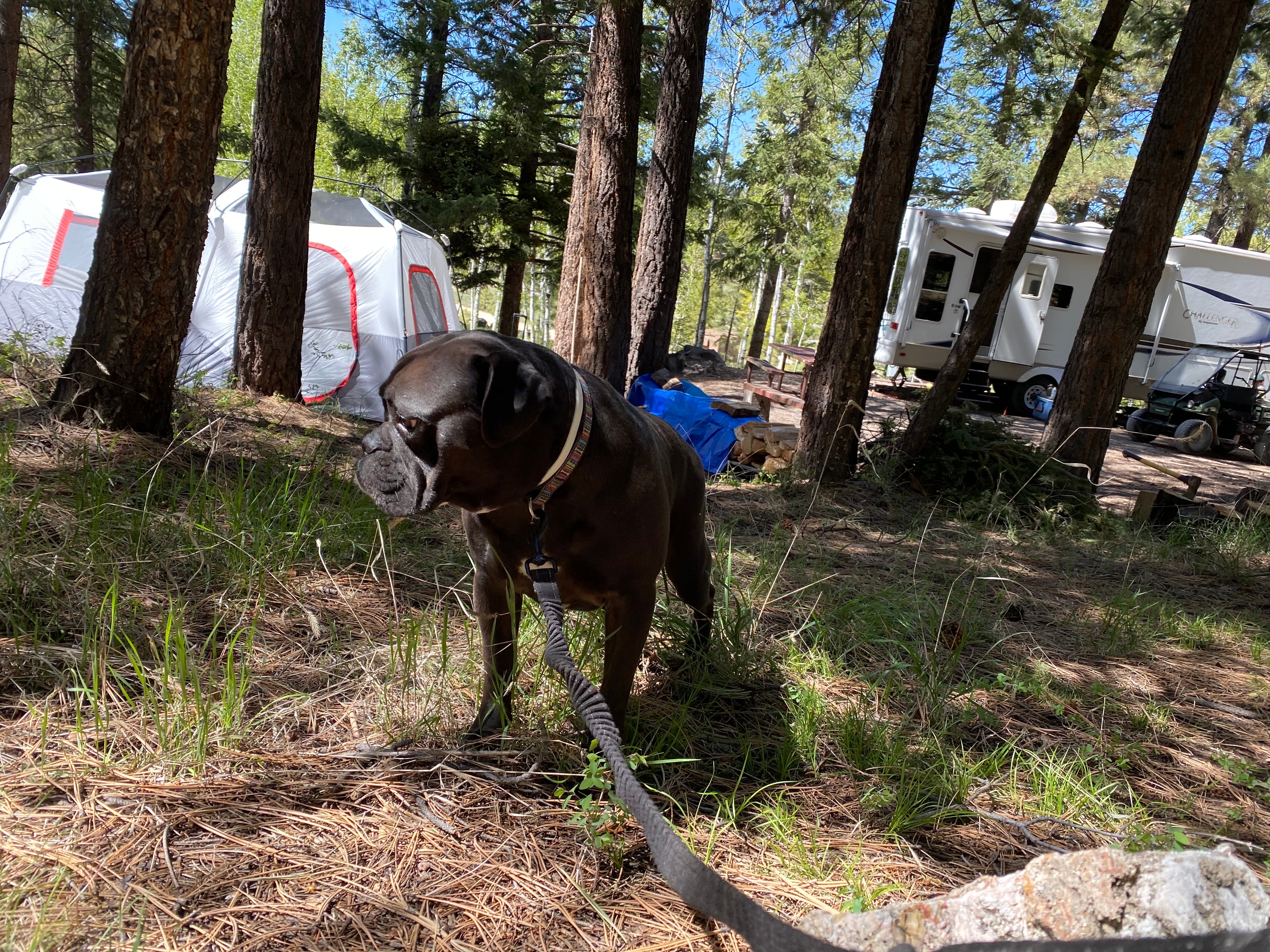 Camper submitted image from KOA Campground Panguitch - 2