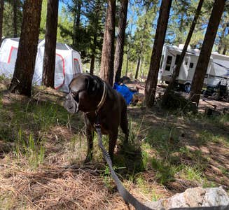 Camper-submitted photo from KOA Campground Panguitch