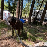 Review photo of KOA Campground Panguitch by Danny P., August 12, 2020