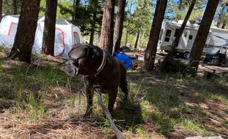 Danny P.'s photo at KOA Campground Panguitch near Dixie National Forest