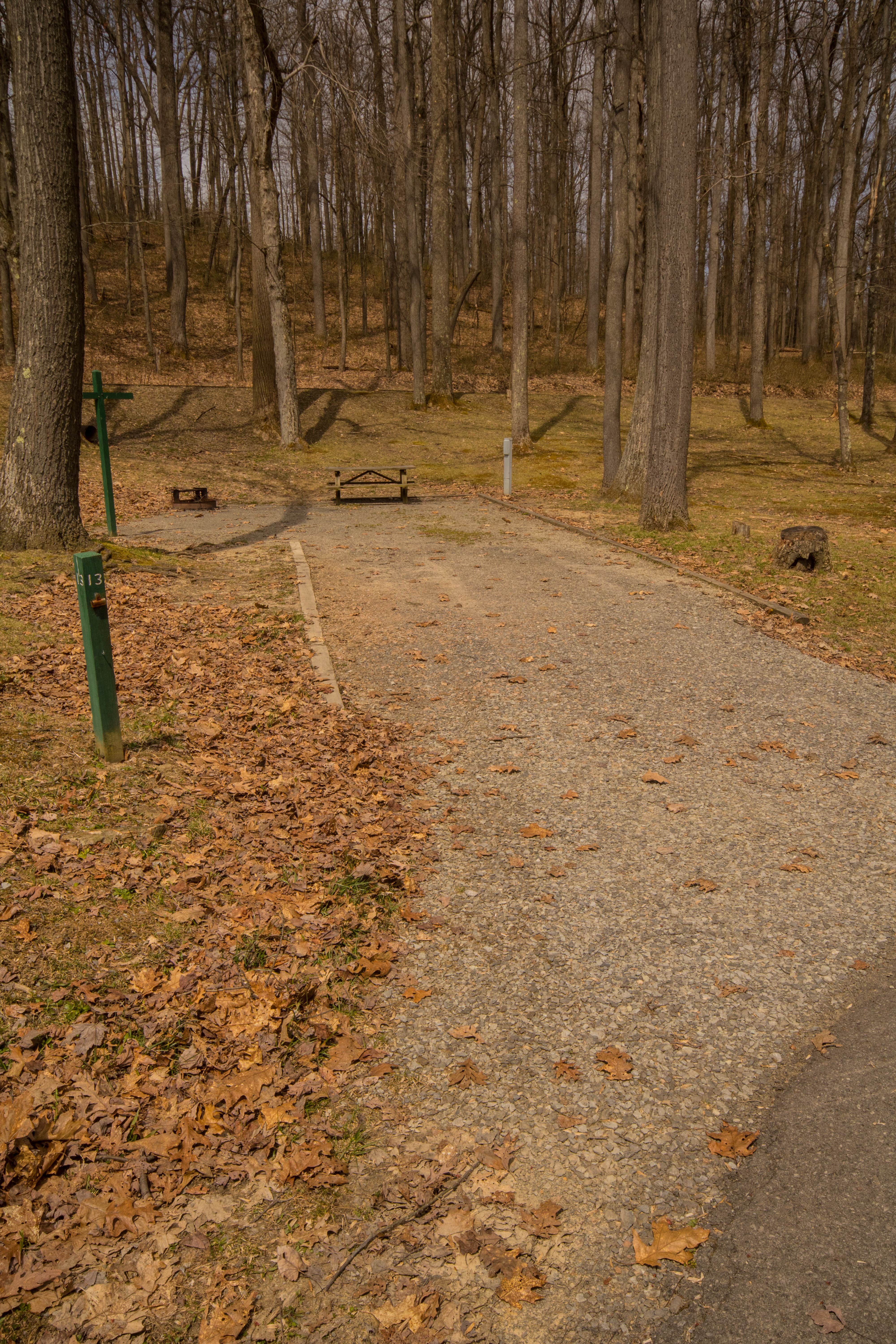 Camper submitted image from Coopers Rock State Forest - 4