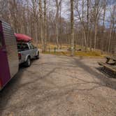 Review photo of Coopers Rock State Forest by Shari  G., April 24, 2018