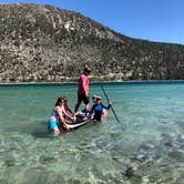 Review photo of Inyo National Forest Oh Ridge Campground by Lauren L., August 12, 2020
