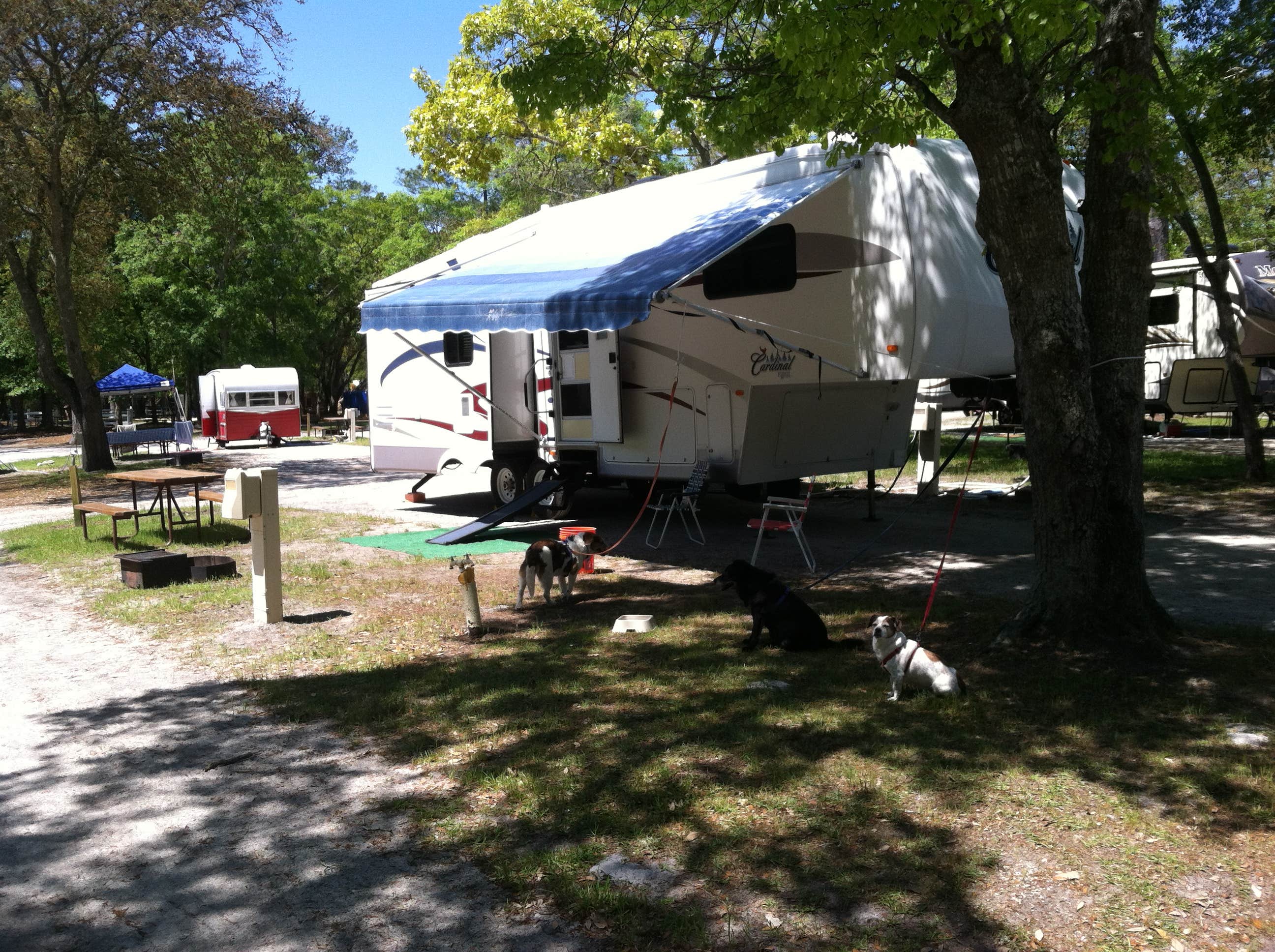 steve W.'s photo of camping with pets at Wilmington KOA near North Topsail Beach, NC