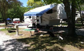 steve W.'s photo of camping with pets at Wilmington KOA near North Topsail Beach, NC