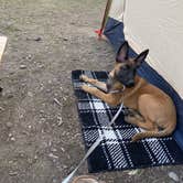 Review photo of Pagosa Riverside Campground by Calvin R., August 12, 2020