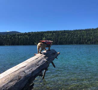 Camper-submitted photo from Upper Whitefish Campground
