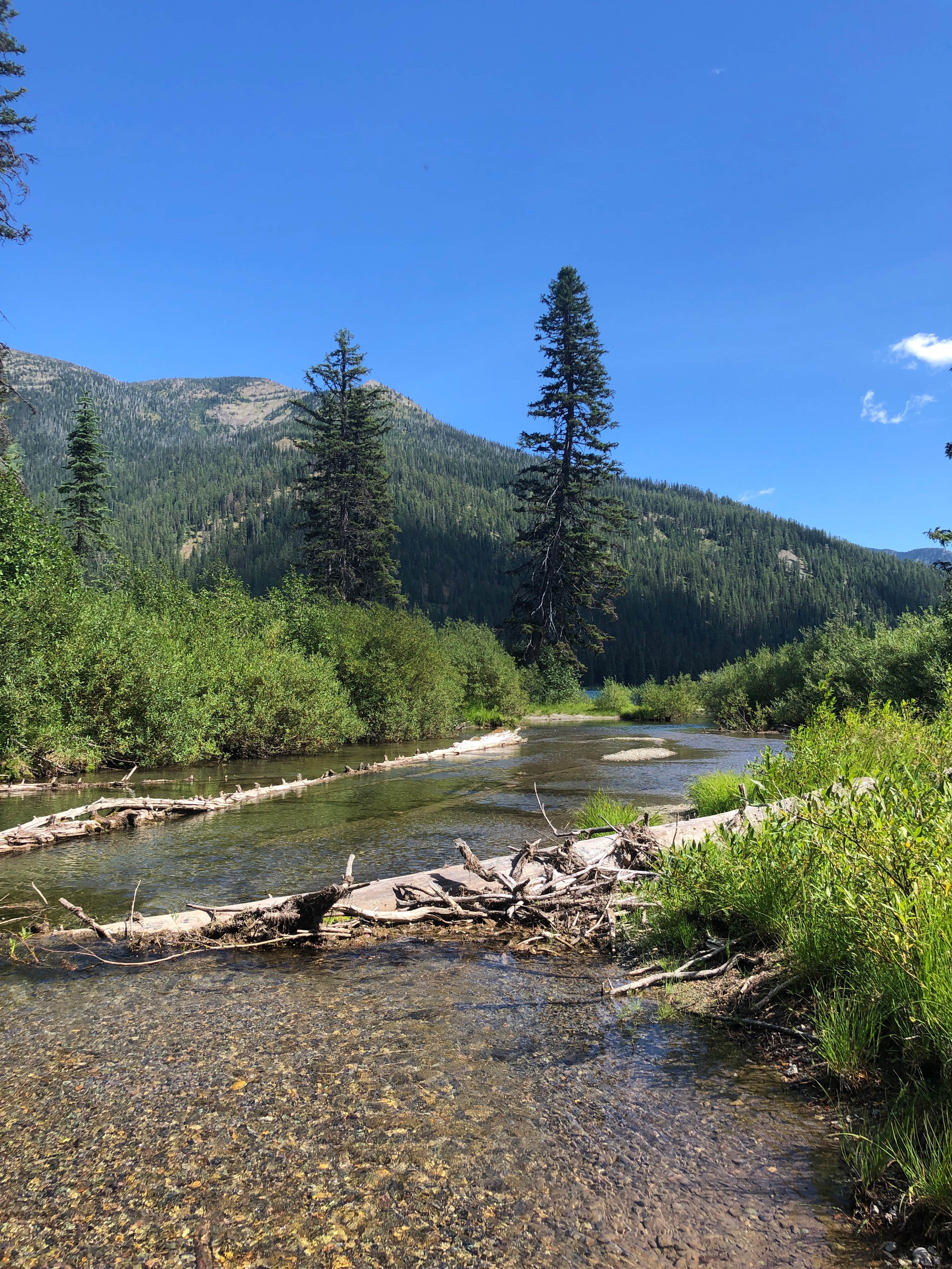 North Dickey Lake The Dyrt