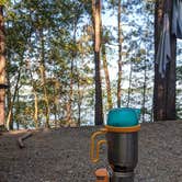 Review photo of Poplar Point Campground — Jordan Lake State Recreation Area by Joanna R., August 12, 2020