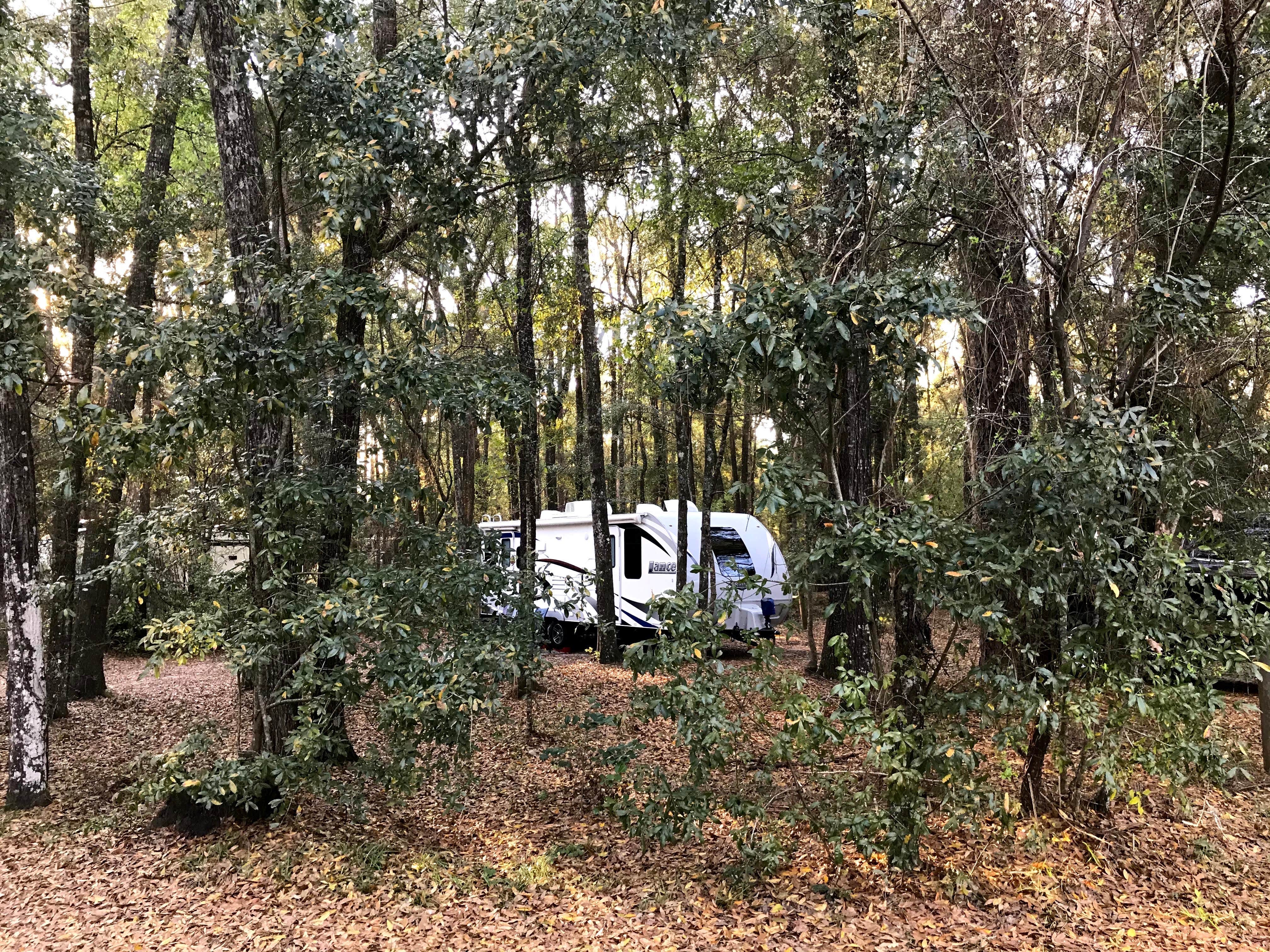 Annell N.'s photo of rv camping at Suwannee River State Park Campground near Jasper, FL