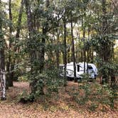 Review photo of Suwannee River State Park Campground by Annell N., August 12, 2020