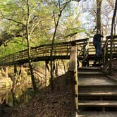 Review photo of Suwannee River State Park Campground by Annell N., August 12, 2020