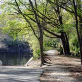 Review photo of Suwannee River State Park Campground by Annell N., August 12, 2020