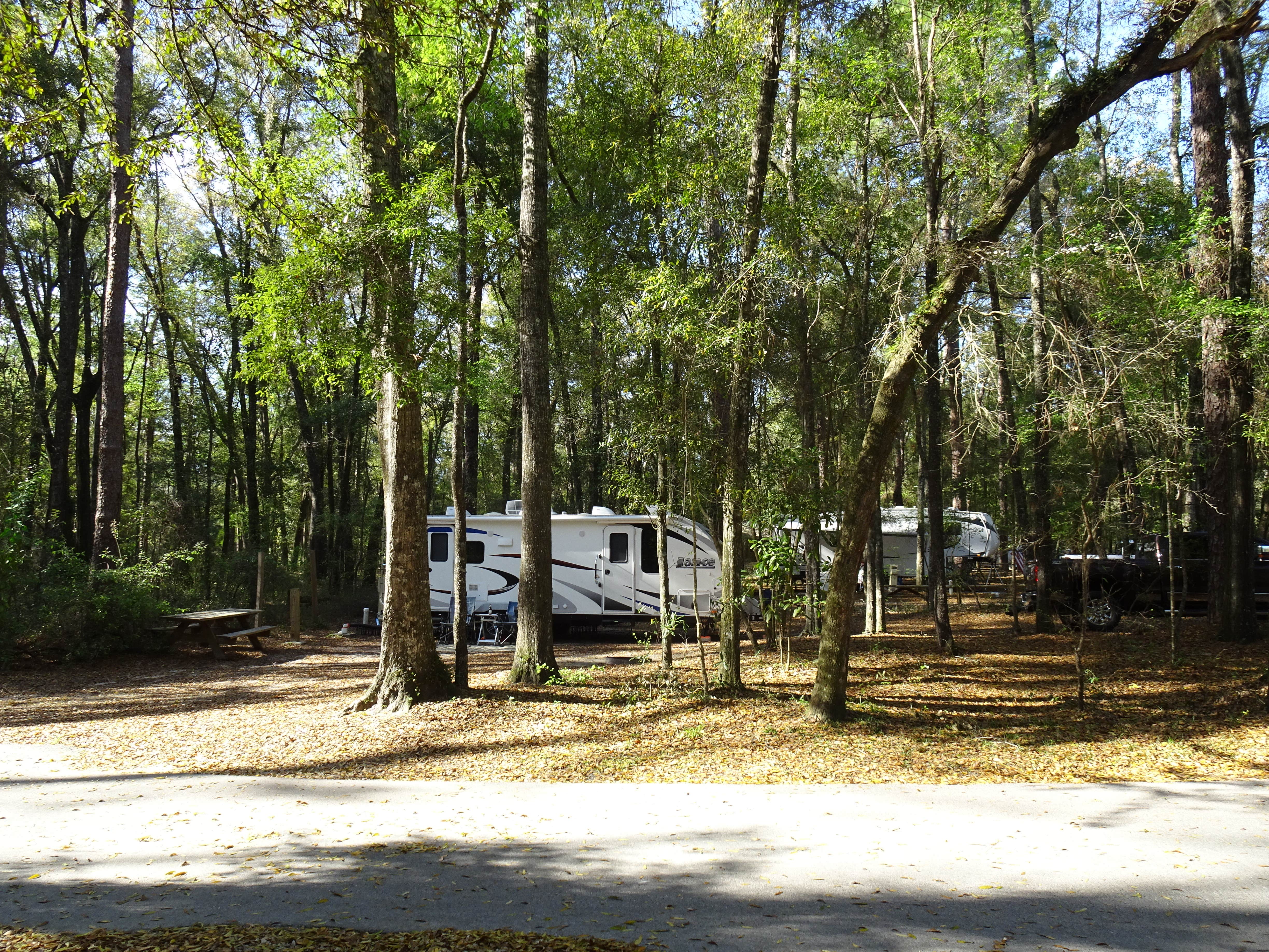Annell N.'s photo of rv camping at Suwannee River State Park Campground near Jasper, FL