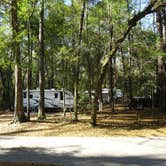 Review photo of Suwannee River State Park Campground by Annell N., August 12, 2020