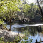 Review photo of Suwannee River State Park Campground by Annell N., August 12, 2020