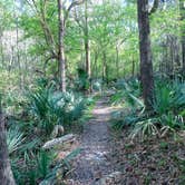 Review photo of Suwannee River State Park Campground by Annell N., August 12, 2020