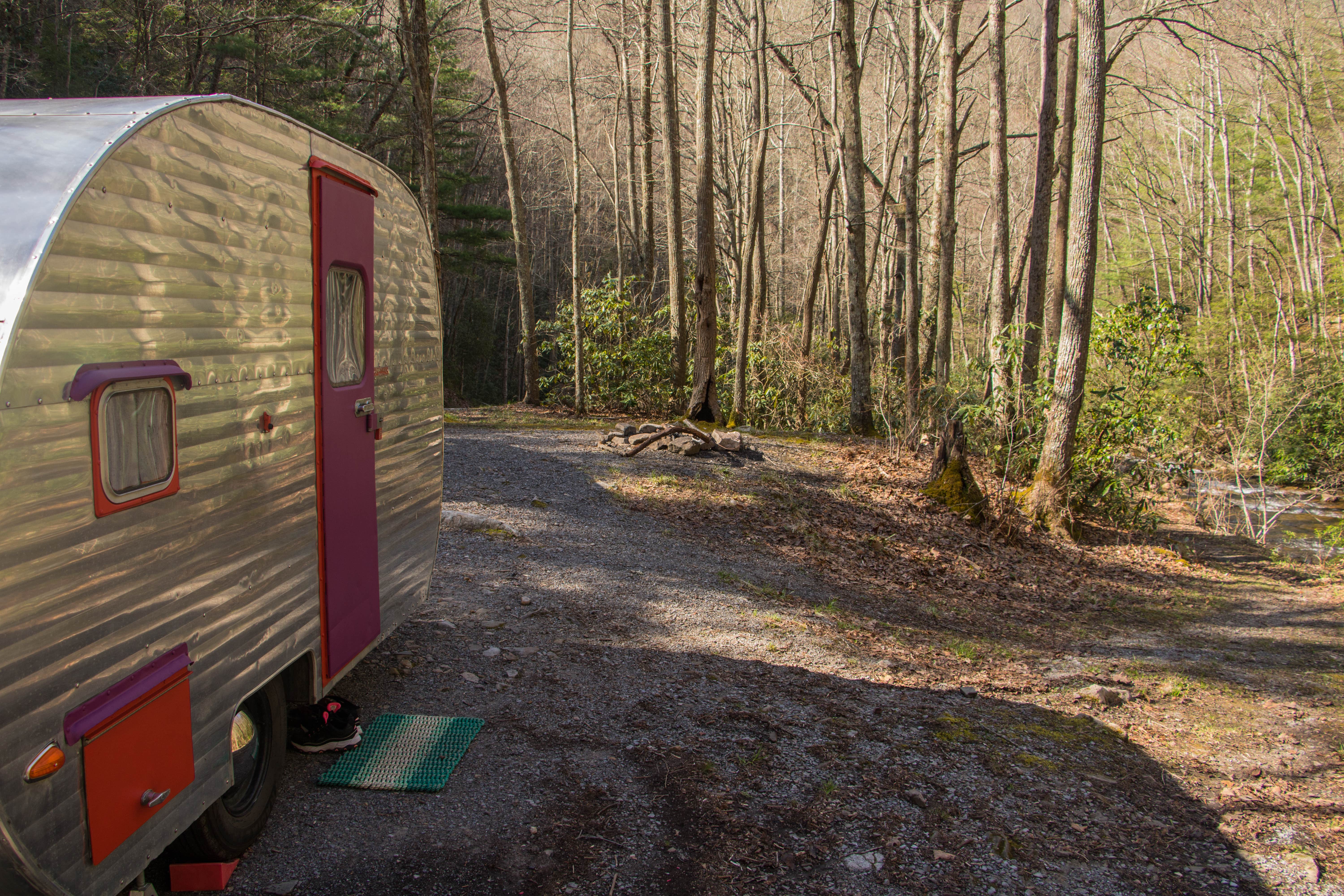 Camper submitted image from Mount Rogers National Recreation Area - 4