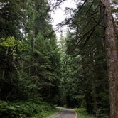 Review photo of Old Cascades Highway Dispersed by Lillie P., August 12, 2020
