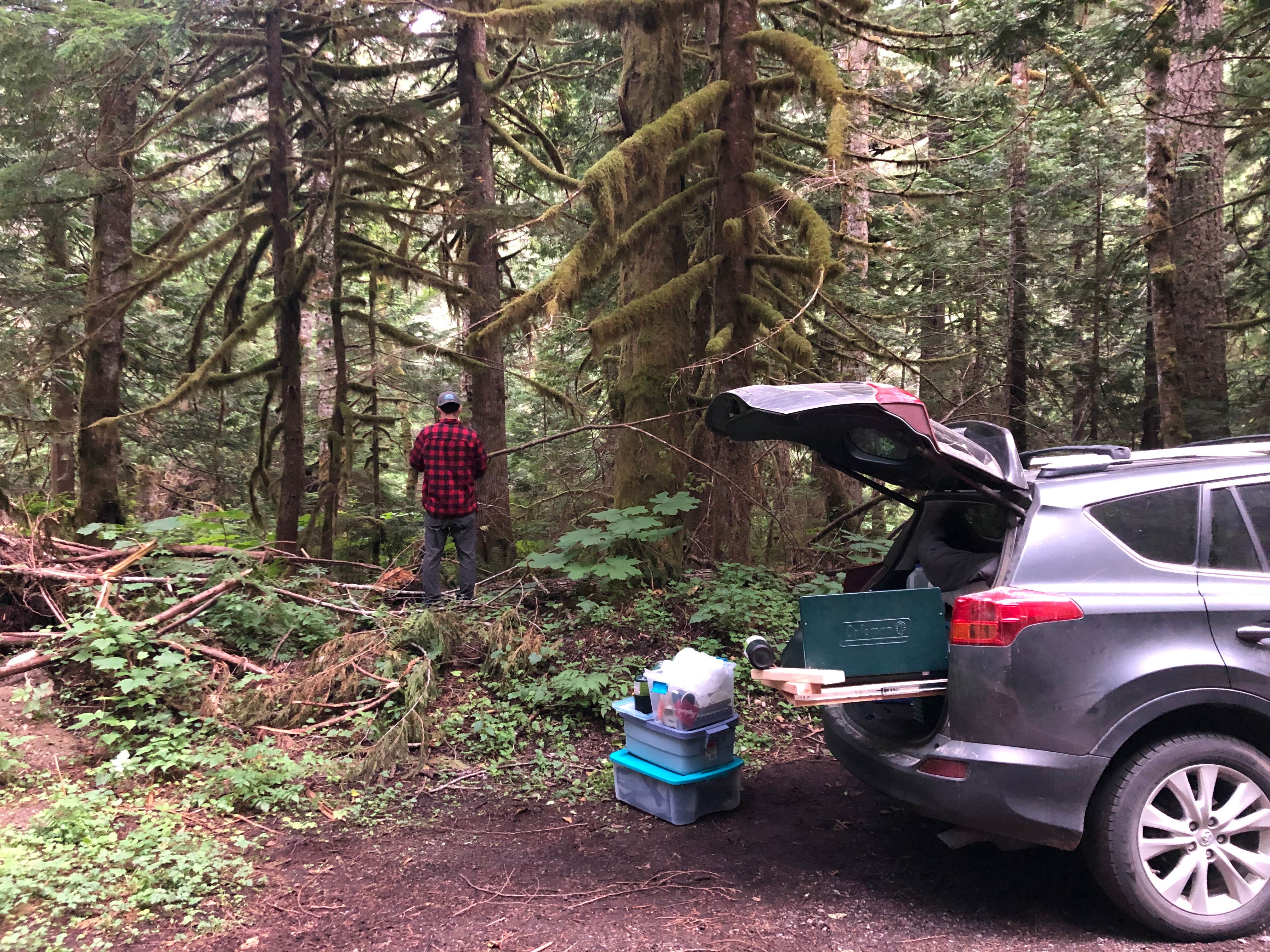 Camper submitted image from Old Cascades Highway Dispersed - 3