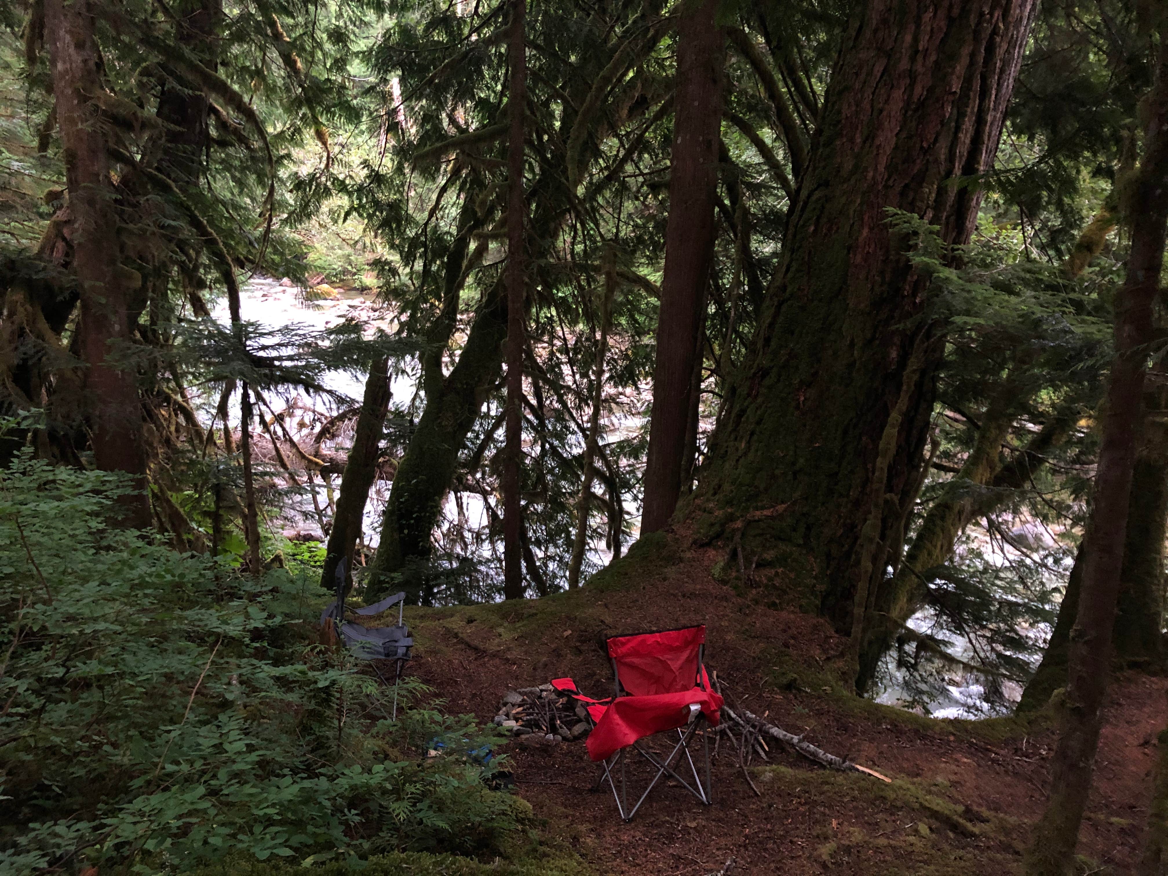 Camper submitted image from Old Cascades Highway Dispersed - 5