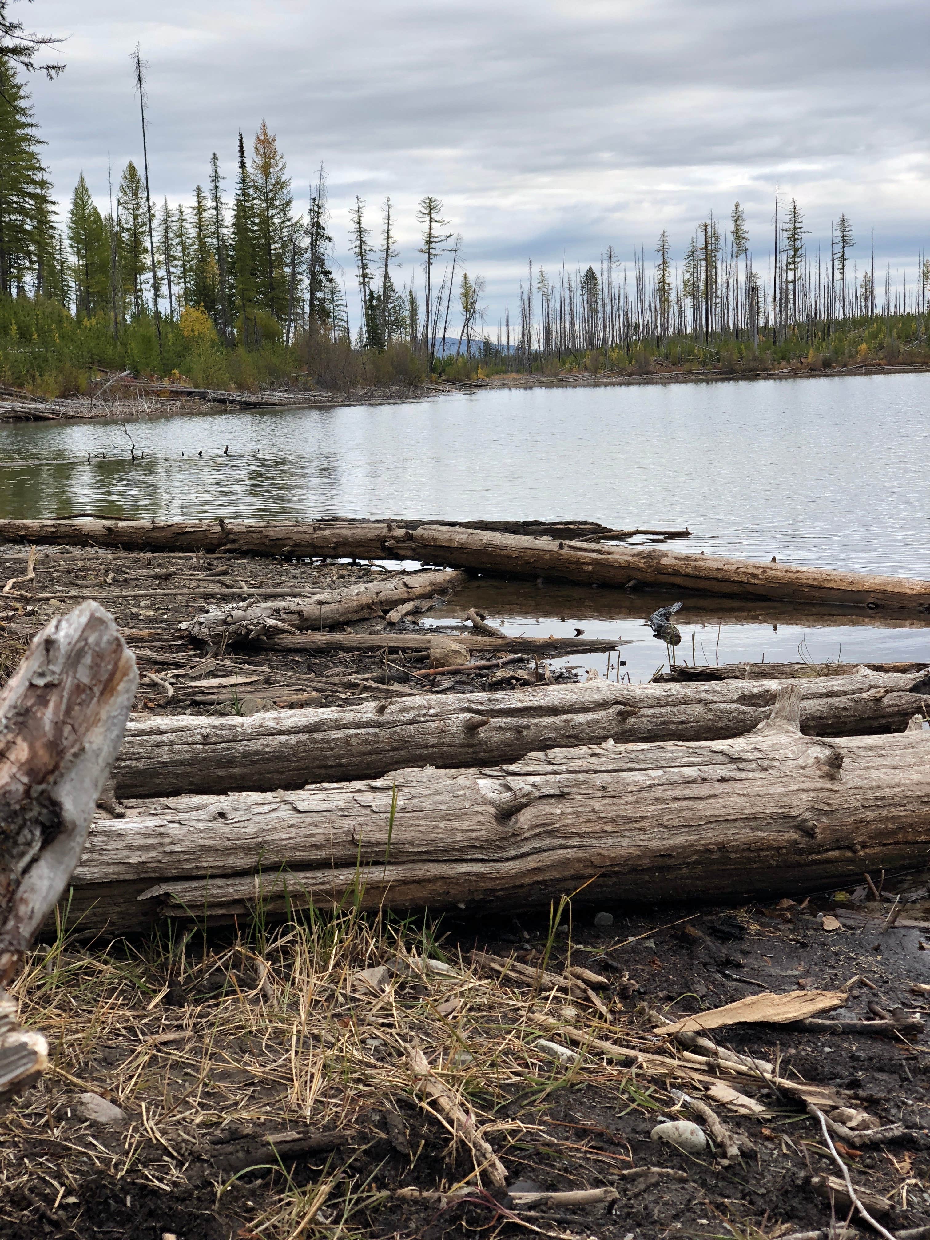 Camper submitted image from Sylvia Lake Campground - 2