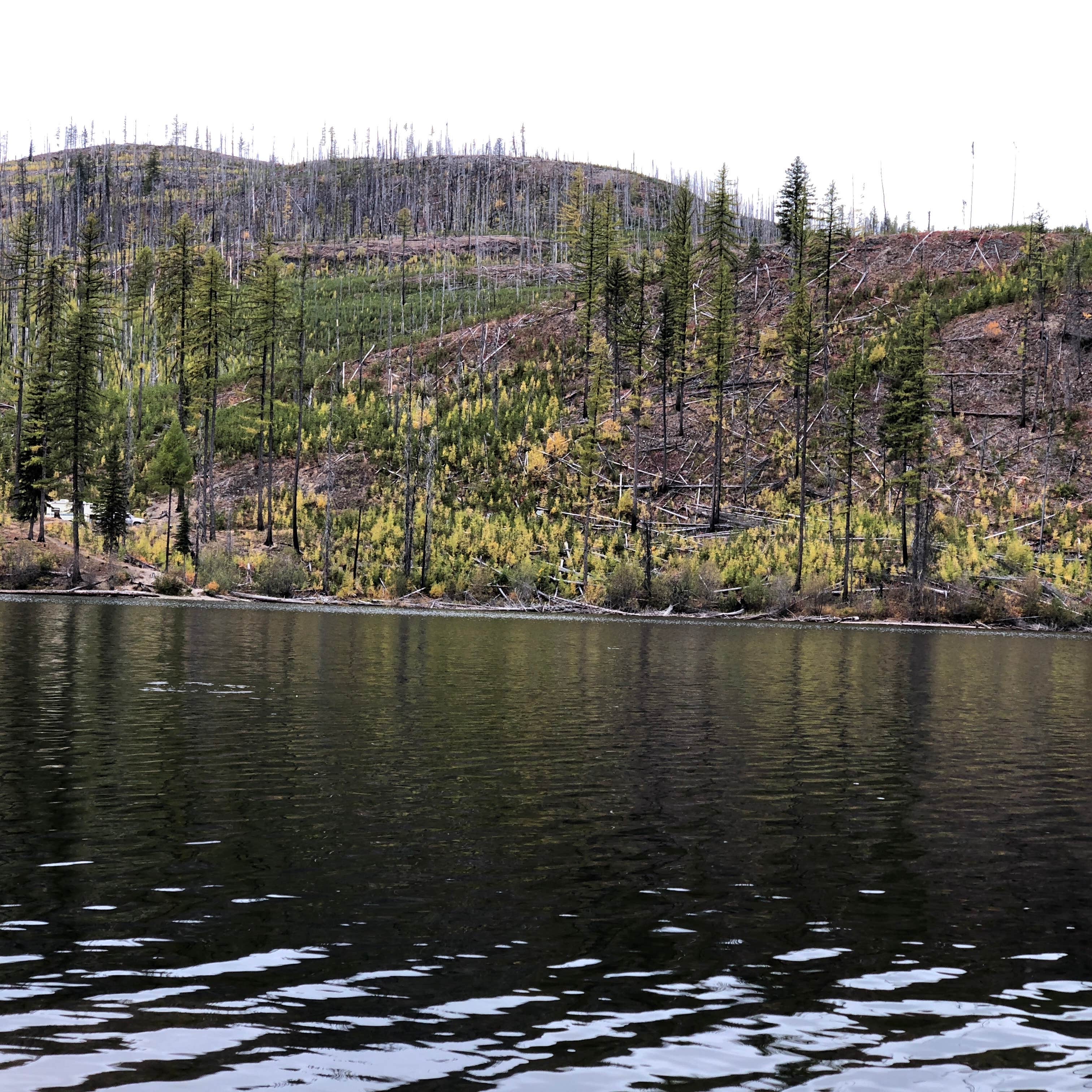 Montana's Hidden Gem: Sylvia Lake Campground, Where Adventure Awaits