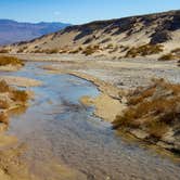 Review photo of Furnace Creek Campground — Death Valley National Park by MarinMaverick , August 12, 2020