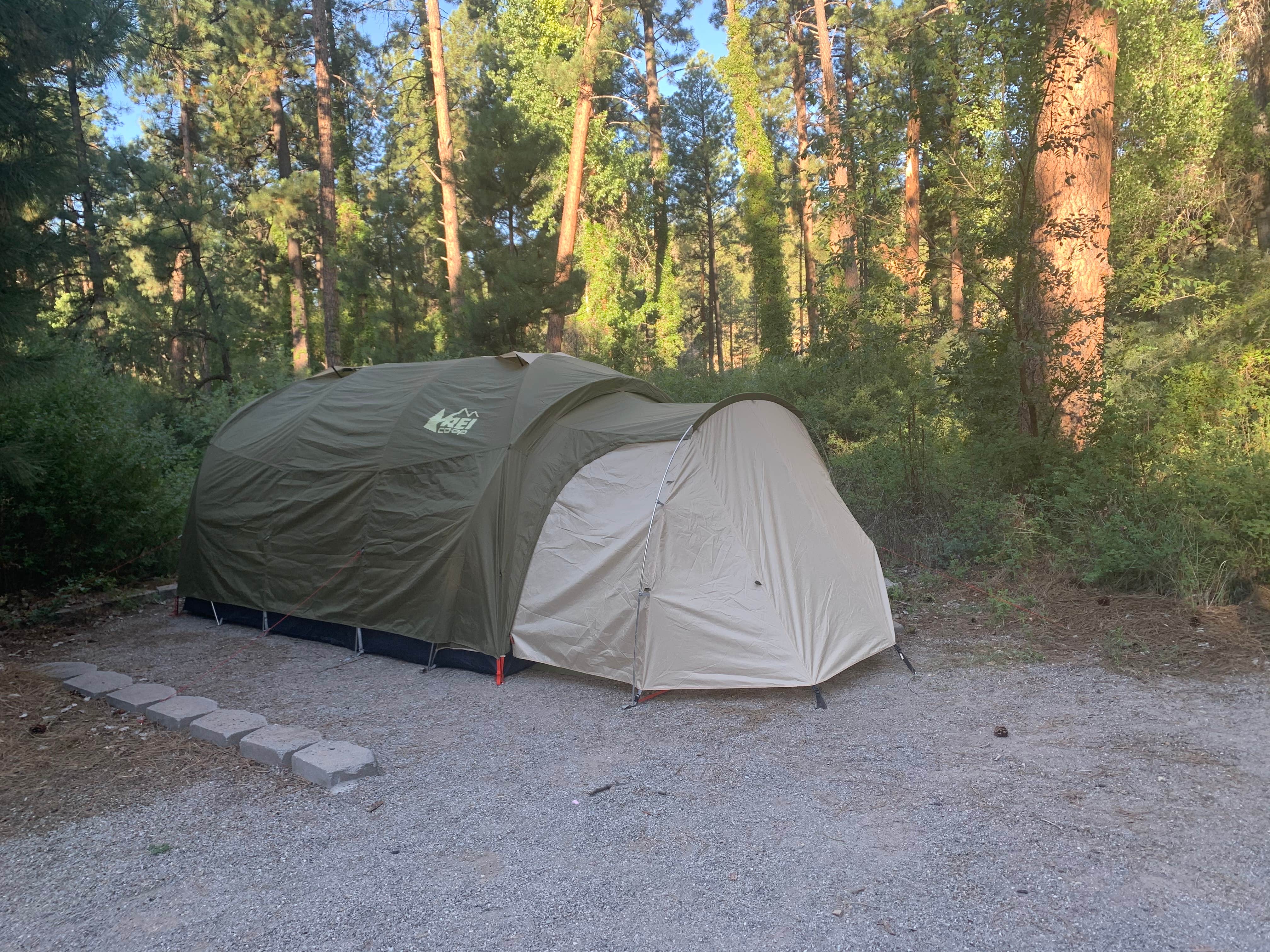 Camper submitted image from Paliza Campground - 5