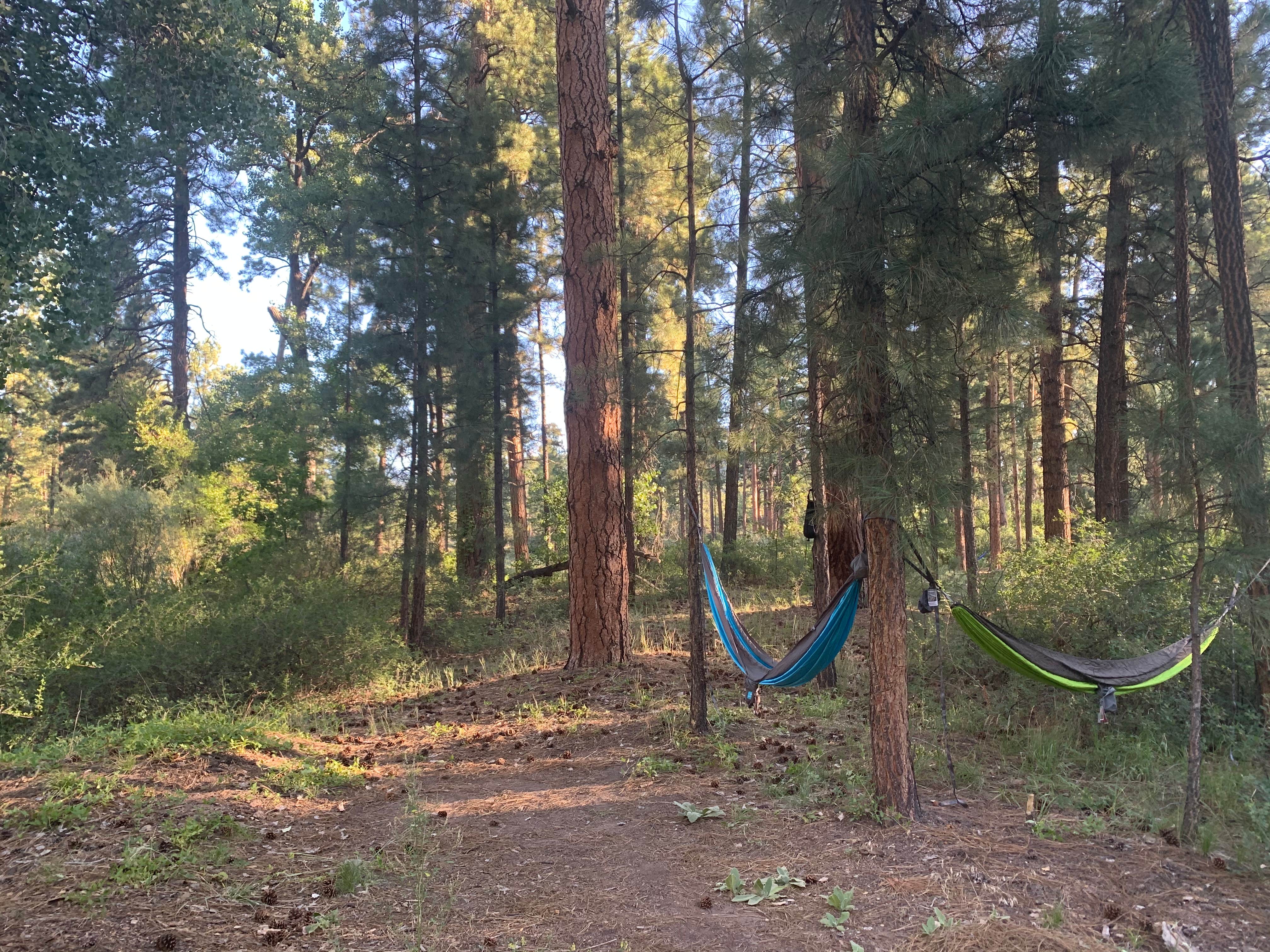 Camper-submitted photo at Paliza Campground near Los Alamos, NM