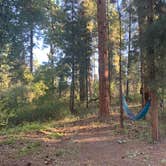 Review photo of Paliza Campground by J. Tom S., August 12, 2020