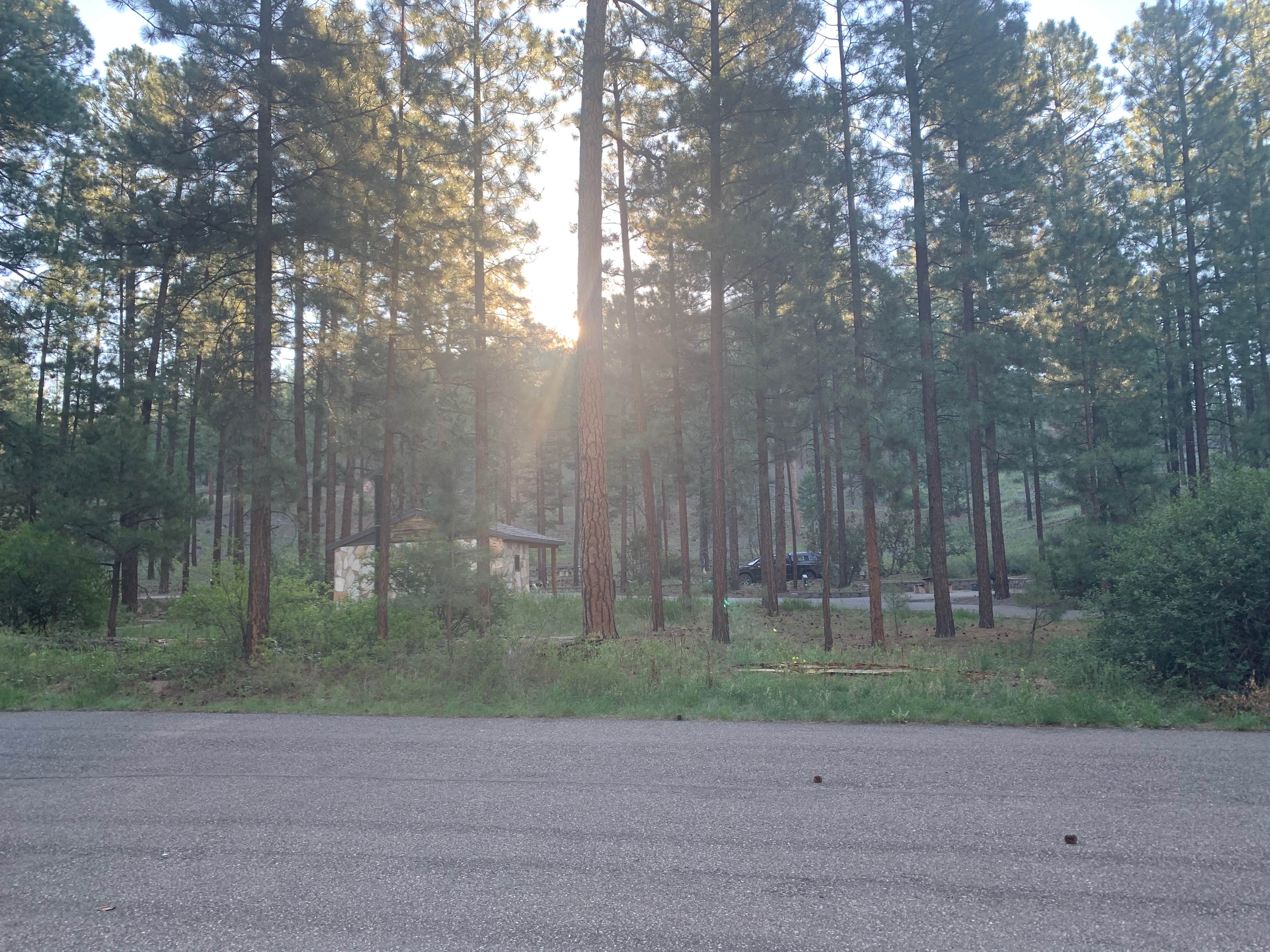 Camper-submitted photo at Paliza Campground near Los Alamos, NM
