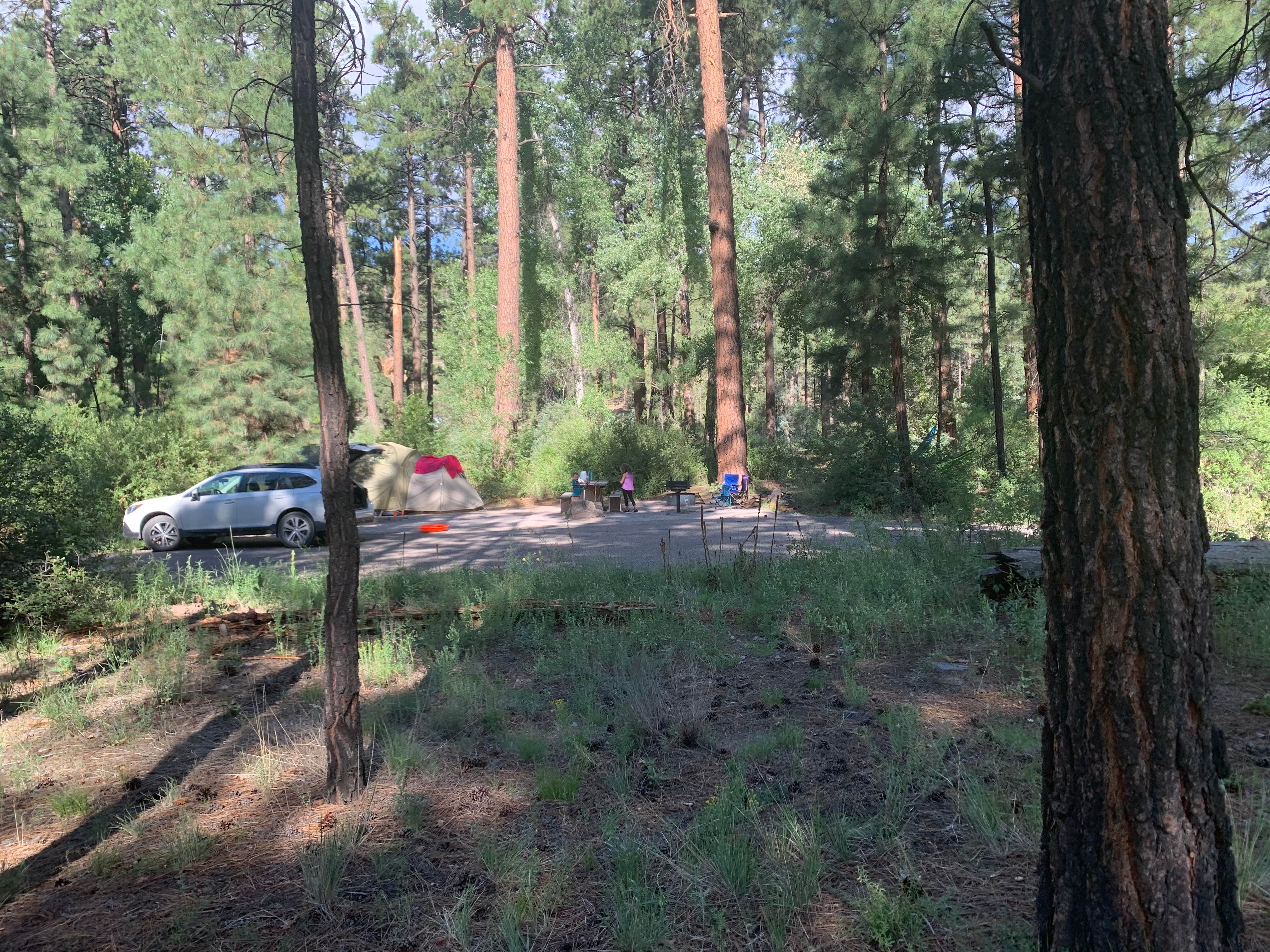 Camper submitted image from Paliza Campground - 2