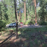 Review photo of Paliza Campground by J. Tom S., August 12, 2020