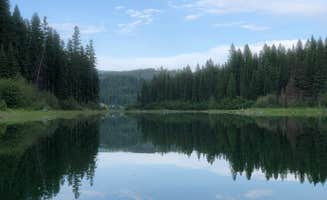 Denyel B.'s photo of a dispersed camping area at Stillwater Lake near Kootenai National Forest