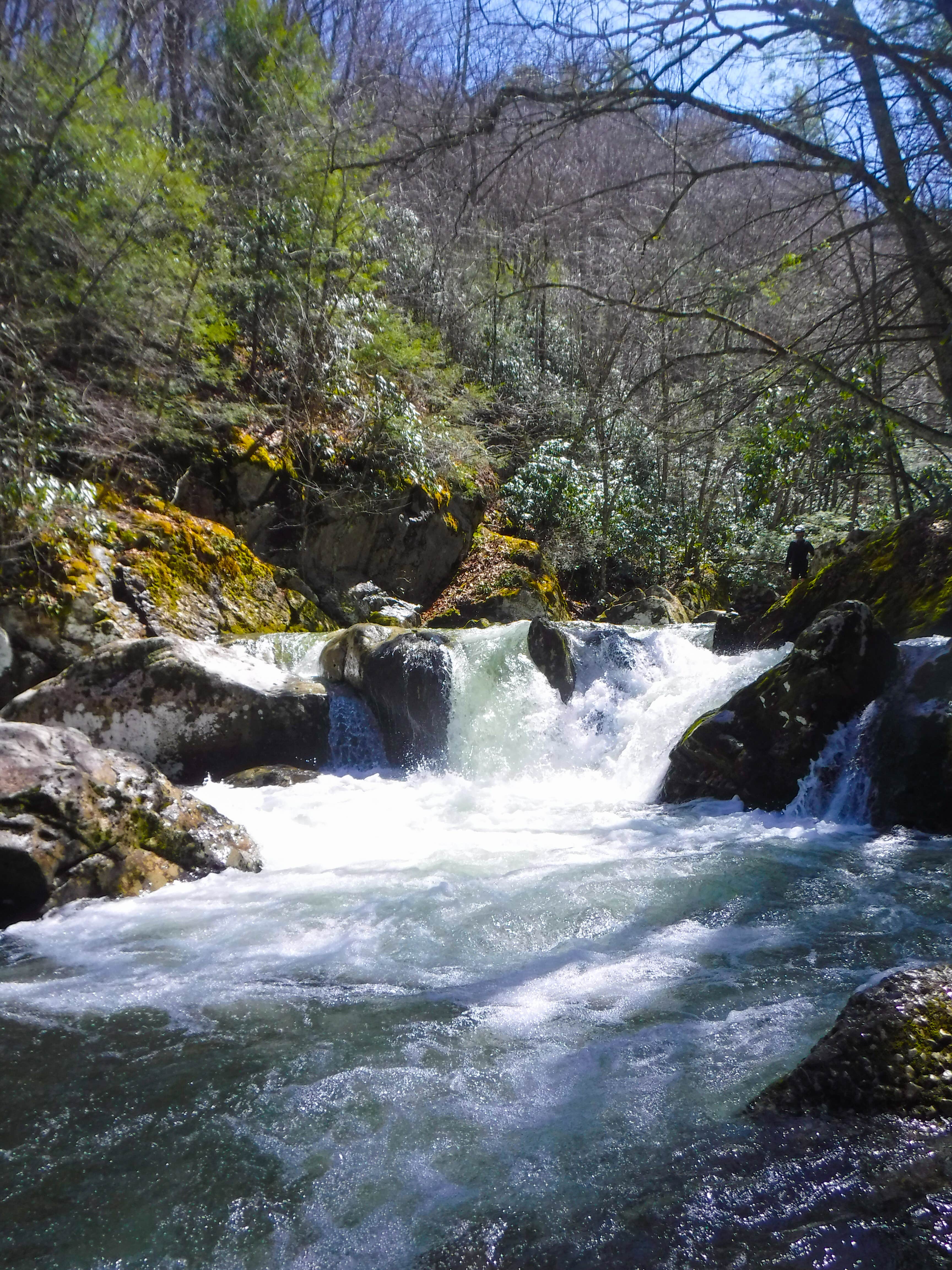 Camper-submitted photo at Mount Rogers National Recreation Area near Dublin, VA