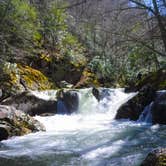 Review photo of Mount Rogers National Recreation Area by Shari  G., April 24, 2018