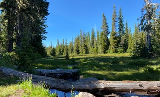 Camping near Barlow Crossing: Bonney Meadows, Government Camp, Oregon